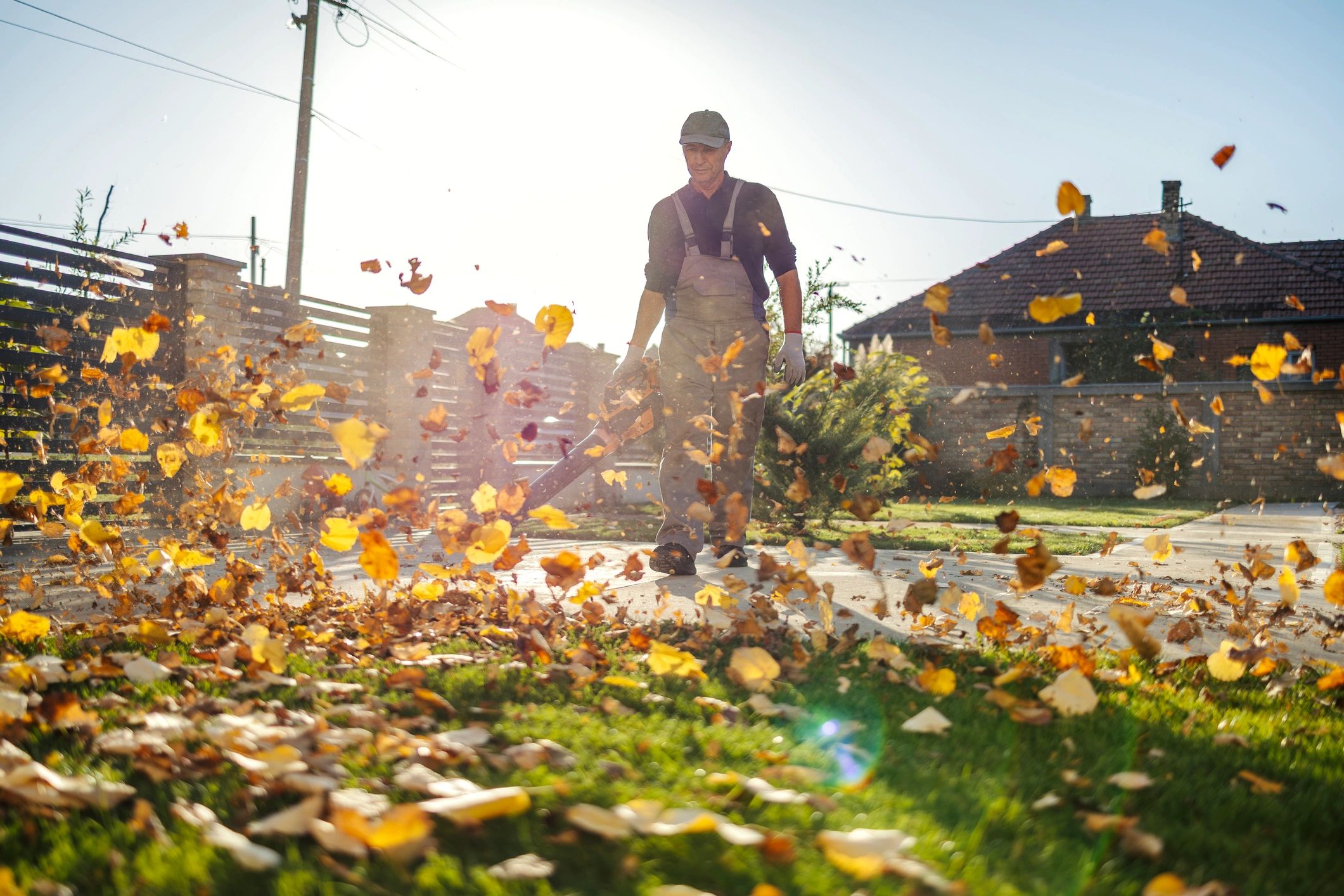 Fall yard clean up leaf removal