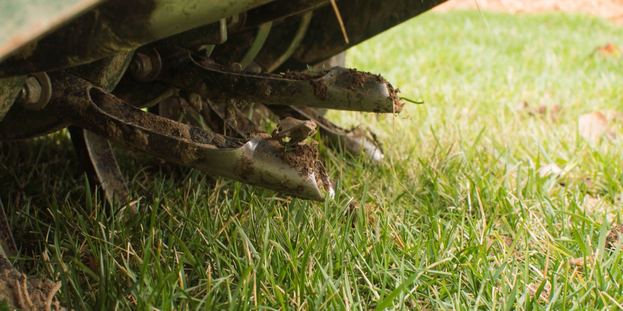 Planting and mulching services