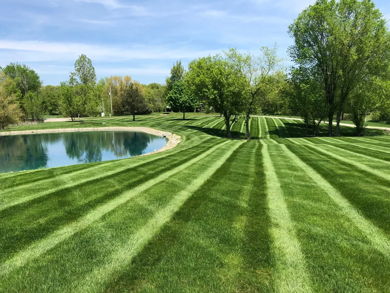Lawn edging sidewalk