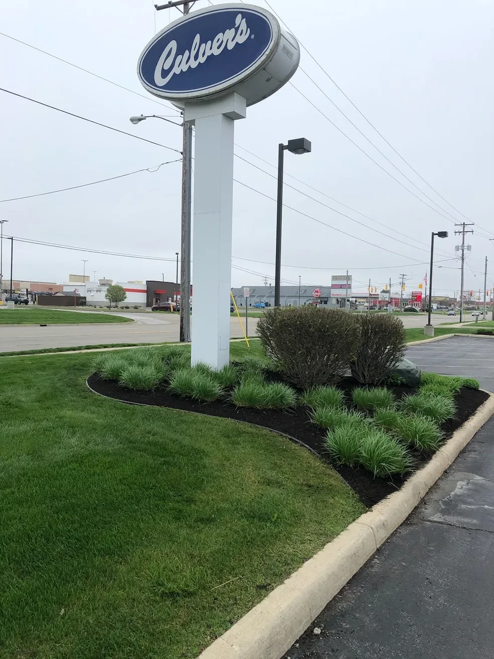 Ornamental grass shrub border